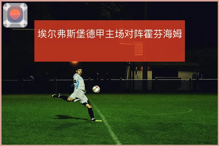 埃尔弗斯堡德甲主场对阵霍芬海姆