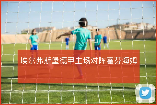埃尔弗斯堡德甲主场对阵霍芬海姆
