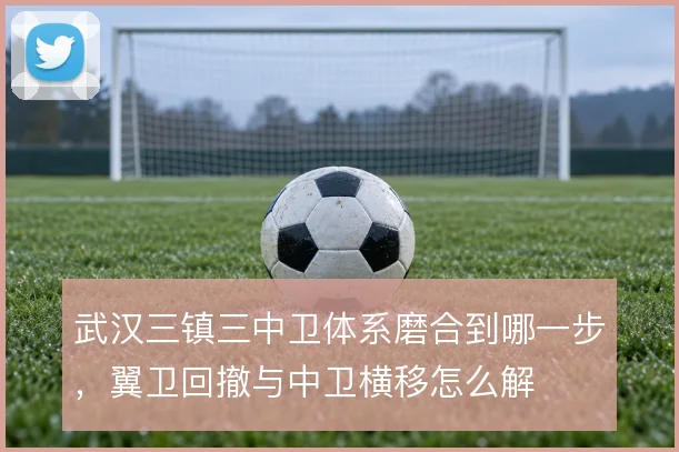 武汉三镇三中卫体系磨合到哪一步，翼卫回撤与中卫横移怎么解